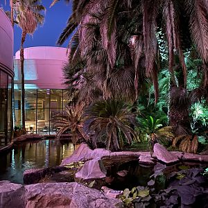 Waterfowl Pond & Stream