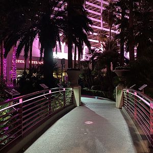 Walkway between Ponds