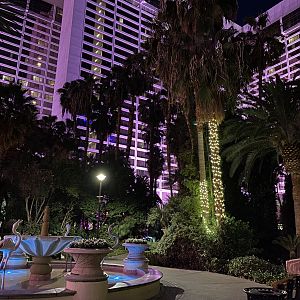 View of the Courtyard