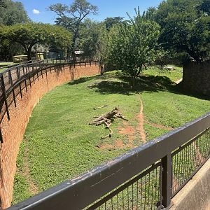 Striped Hyena Exhibit (Hyaena hyaena)