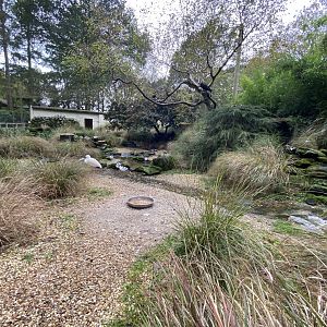 Seashore Walk 061121