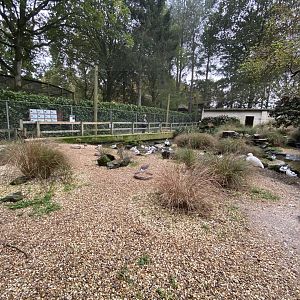 Seashore Walk 061121