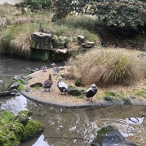 Seashore Walk 061121