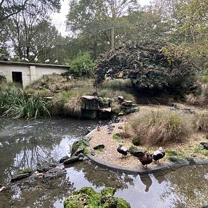 Seashore Walk 061121