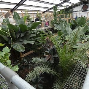 View of Tropical House (2)