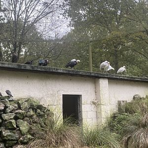 Seashore Walk 061121