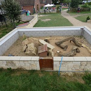 Meerkat enclosure (2)