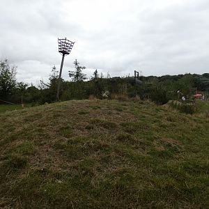Bennett's wallaby and Patagonian mara enclosure (2)