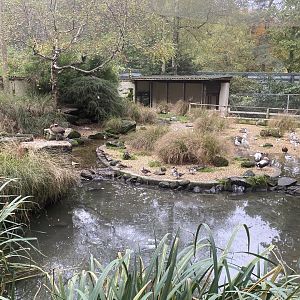 Seashore Walk 061121