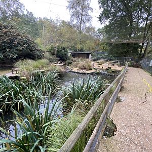 Seashore Walk 061121