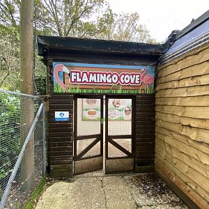 Flamingo Cove 061121