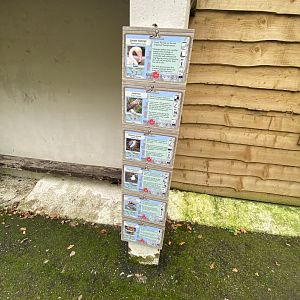 Flamingo Cove signage 061121