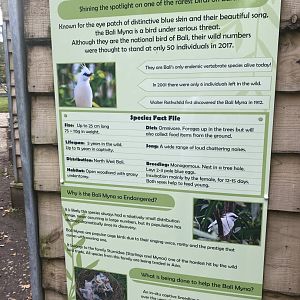 Bali myna sign 061121