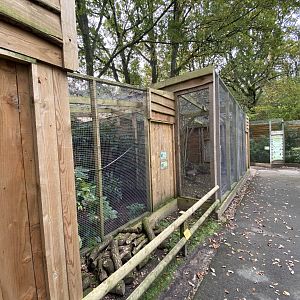 Aviaries 061121