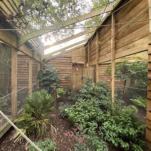 Aviary for Bali myna and Edwards's pheasant 061121