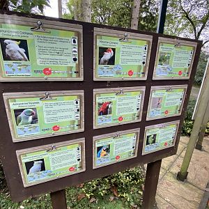 Inhabitants of large mixed parrot aviary 061121