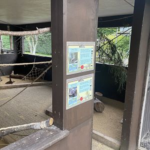 Outback Landing 061121