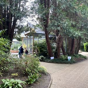 View towards parrot aviaries 061121