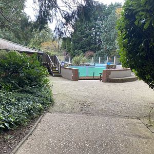 View towards penguin pool 061121