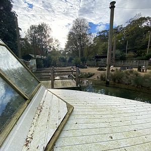 Penguin Beach 061121