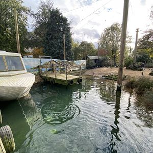 Penguin Beach 061121