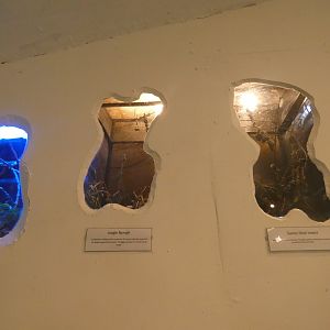 Invertebrate exhibits