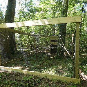 Von der Decken's hornbill aviary