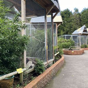 Parrot aviaries 061121