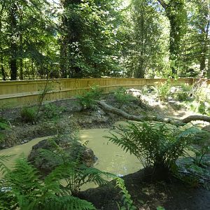 European otter enclosure