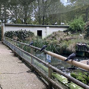 Seashore Walk 061121