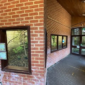 Temperate House 061121