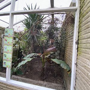 Temperate House 061121
