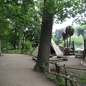 Walkway and Native American village next to the American Plains bison and Rocky Mountain wapiti prairie, 2021-07-03