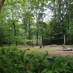 Capybara and Guanaco paddock (Former Alpaca paddock connected to capybara exhibit), 2021-07-03