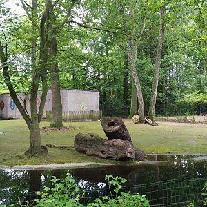 Capybara and Guanaco paddock (Former Alpaca paddock connected to capybara exhibit), 2021-07-03
