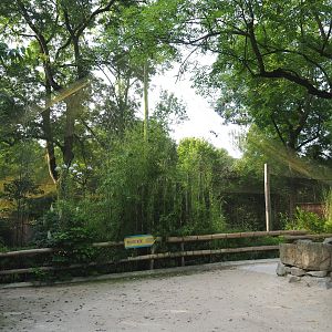 Walkway and aviary in the Asian area, 2021-07-20