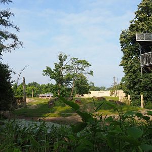 Main Asian elephant paddock, Seen from near the Red panda exhibit, 2021-07-20
