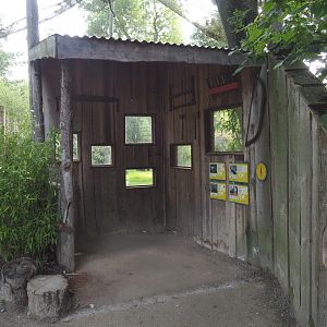 Black-headed ibis, Green peafowl, Nicobar pigeon and Blue eared pheasant aviary viewing area, 2021-07-20