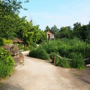 Walkway from the outdoor elephant viewing areas to the elephant house, 2021-07-20