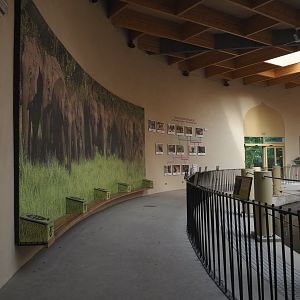 Visitor area in the elephant house, 2021-07-20