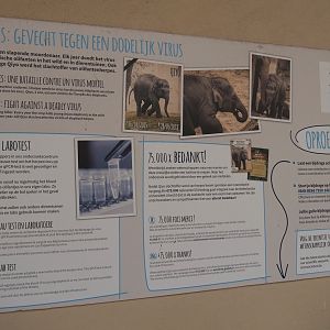 Sign about the battle against the Elephant endotheliotropic herpesvirus (EEHV), 2021-07-20