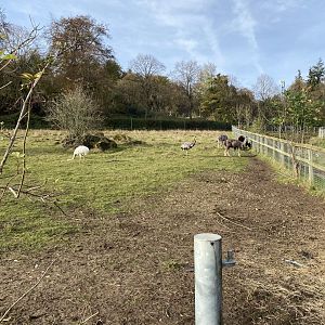South American pampas exhibit 071121