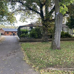 View towards aviary 071121