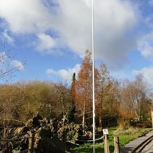 New addition to the Pelican Lake area, December 2021