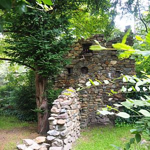 European aviary bird house, 2021-07-20