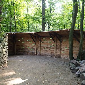 New viewing wall for new wildlife feeding area, 2021-07-20