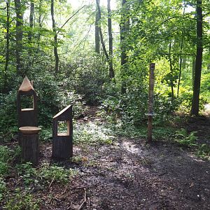 New wildlife bathing and feeding area, 2021-07-20