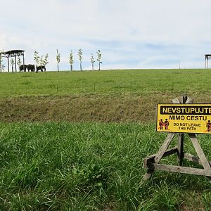 Karibuni Phase 1 - Elephants