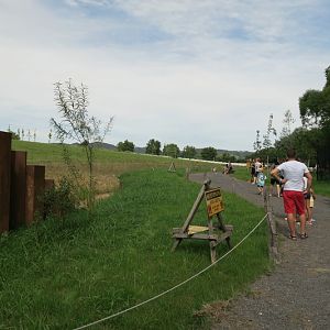 Karibuni Phase 1 - Elephants