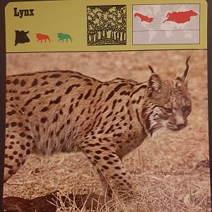 Safari Card - Request for identification